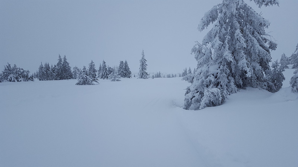 Surt i dag