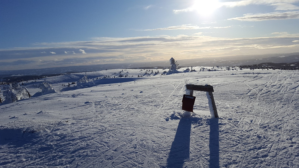 På Sjusjøfjellet