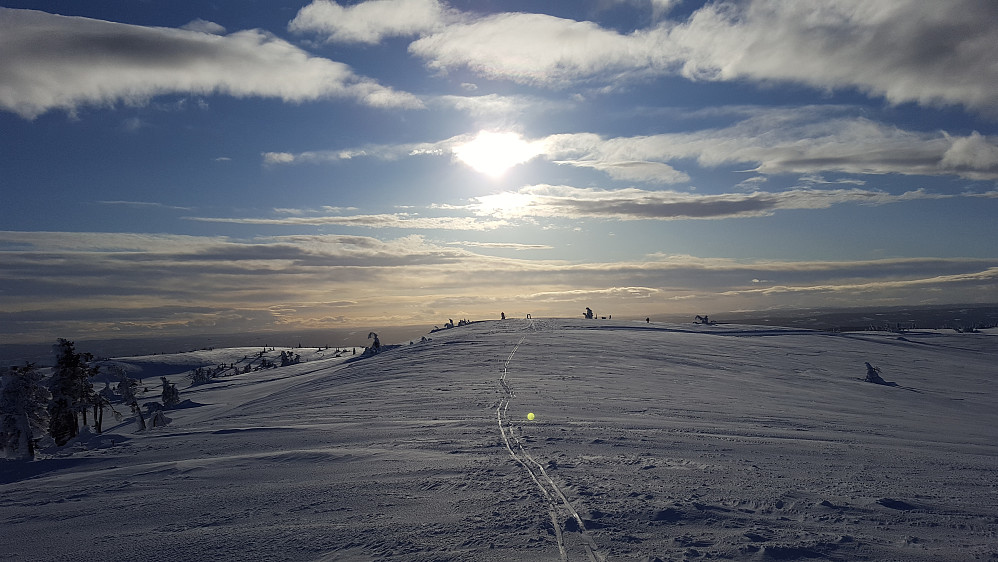 På Sjusjøfjellet øst