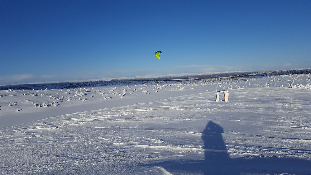 På Sjusjøfjellet øst