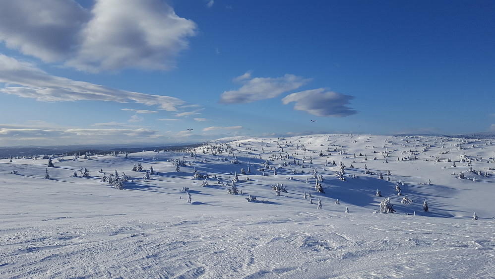 På Sjusjøfjellet øst