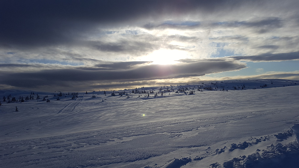 Ser tilbake mot Lunkefjell/Sjusjøfjellområdet