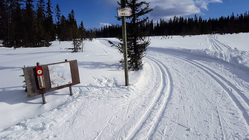 Ved krysset på Langkloppmyra