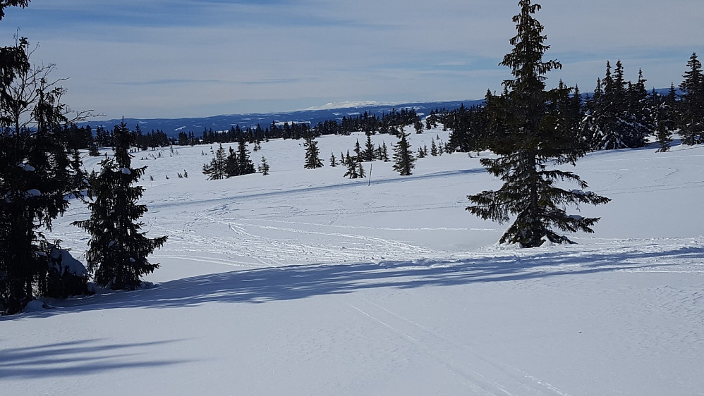Ser utover Heståsmyra og mot Synnfjellet