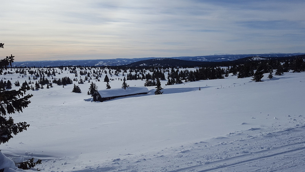 I løypa ved Løvisåsen