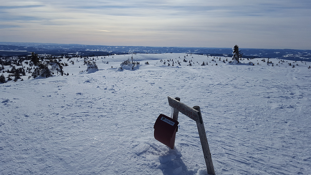 På Sjusjøfjellet