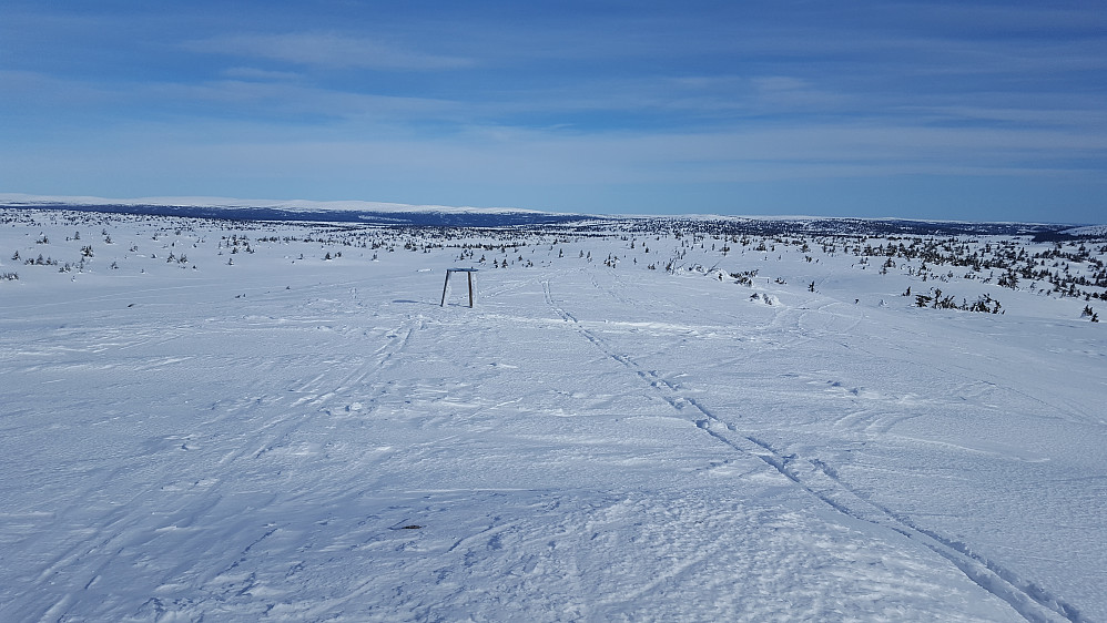 På Sjusjøfjellet øst