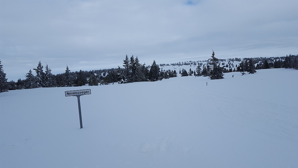 Løypa om Nevelosen kommer inn på Reinavegen