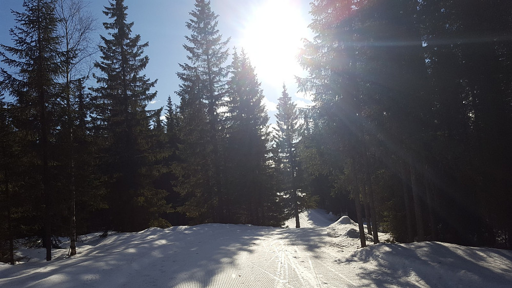 På Kanthaugen