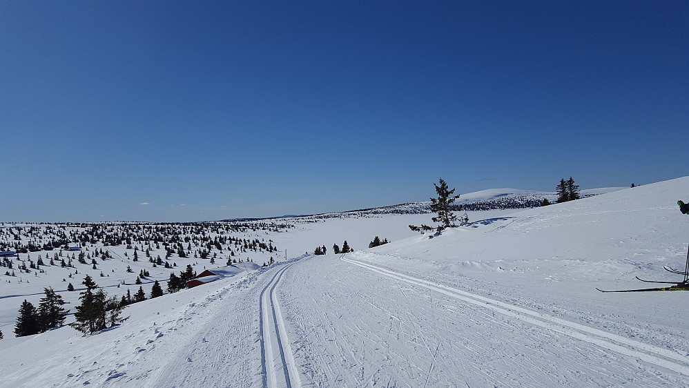 Ved Reinakrysset mot Nevelfjell