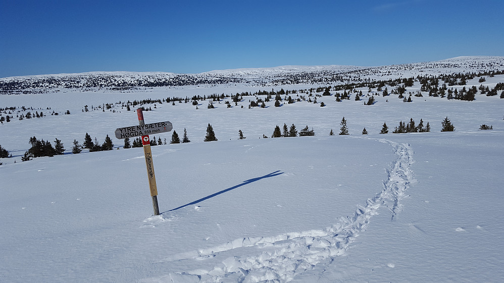 På Ytre Nysæterhøgda, mot Reinsfjell, Hitfjell og Kriksfjell