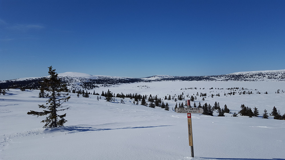 På Ytre Nysæterhøgda, mot Nevelfjell og Hafjell