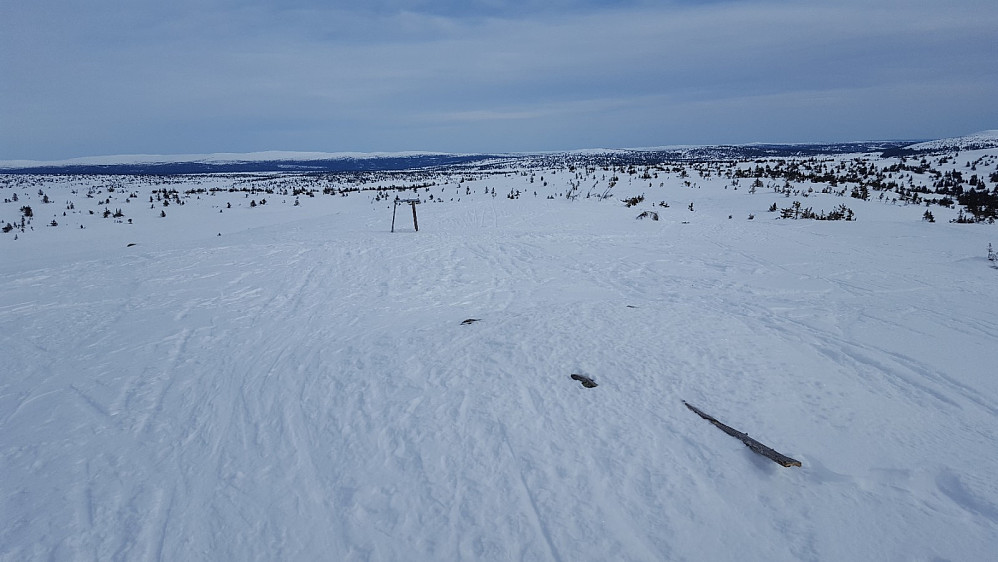På Sjusjøfjellet øst