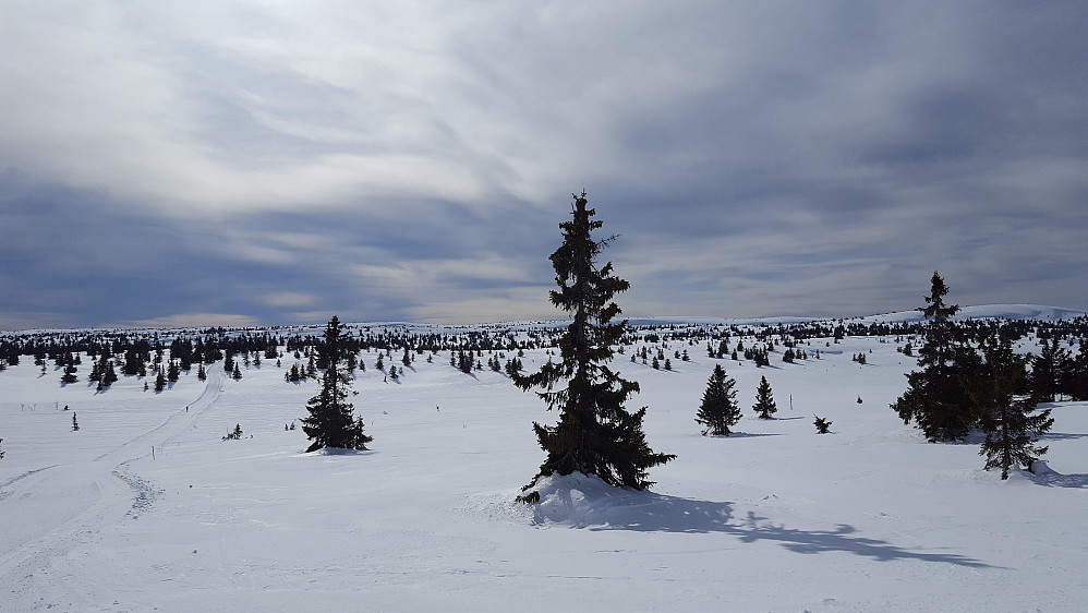 Ser tilbake mot Lunkefjell/Sjusjøfjellområdet