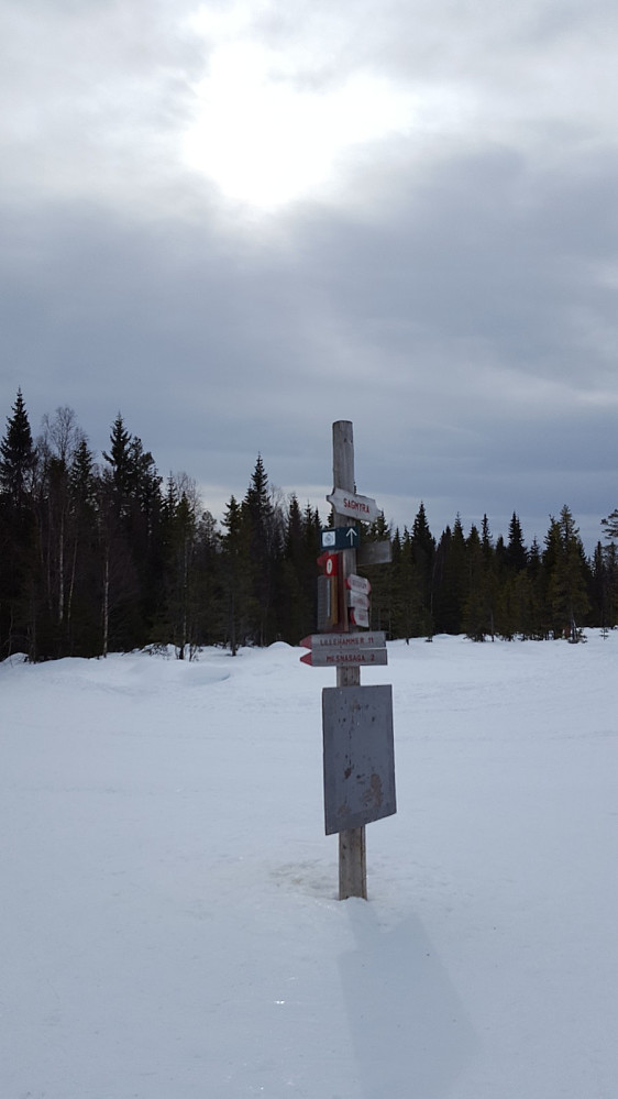 På Sagmyra