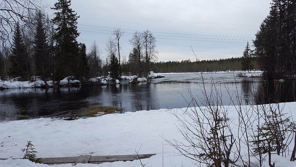 Mesnaelva