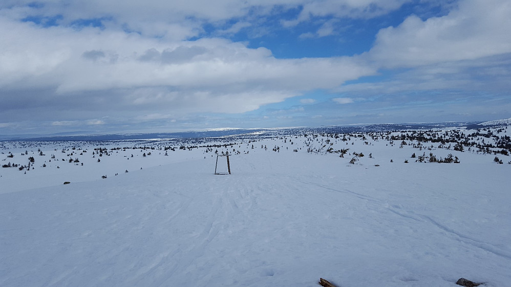 På Sjusjøfjellet øst