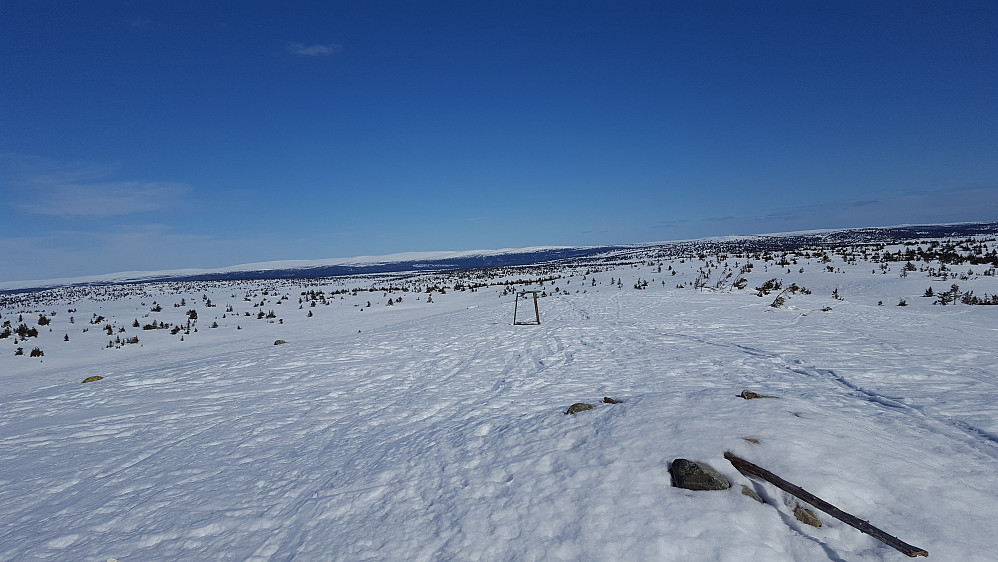 På Sjusjøfjellet øst