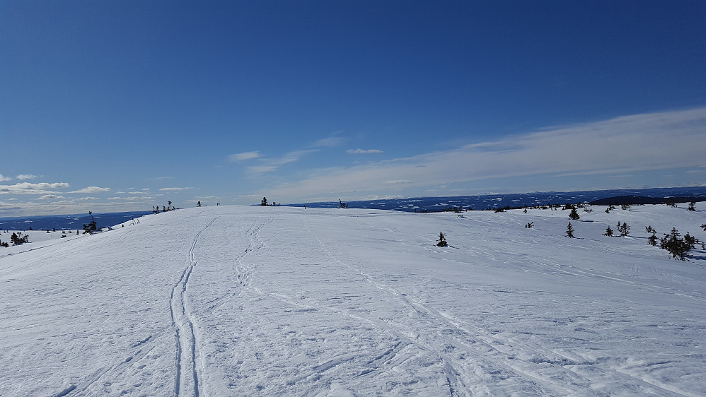 På Sjusjøfjellet øst