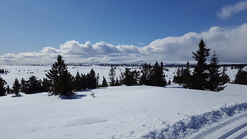 Ser mot Nevelfjell fra Kriksvika