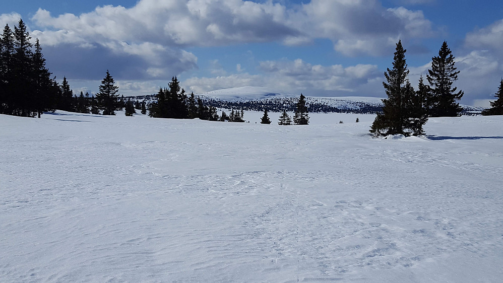 Ser mot Nevelfjell og Slåseterfjellet fra Reinavegen