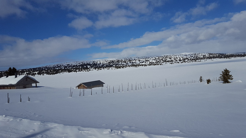 Fra Trolløypa over Reinsvatnet mot Reinsfjellet