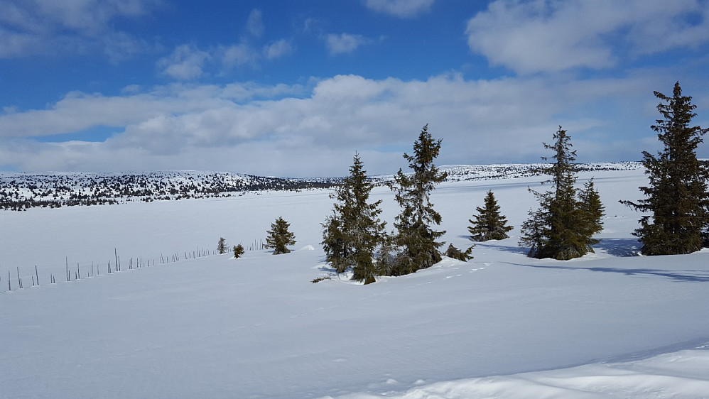 og mot Kriksfjellet
