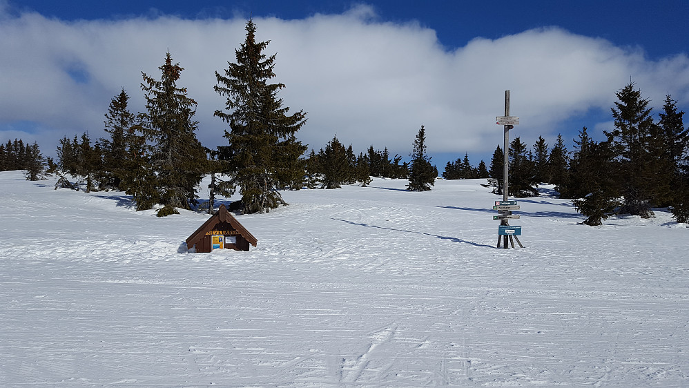 Ved løypekrysset på Nevelåsen