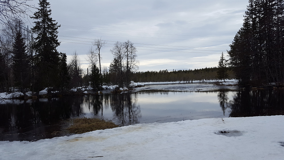 Ved Ingalåmi
