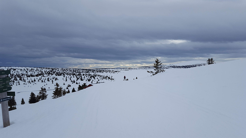 På Reinakrysset