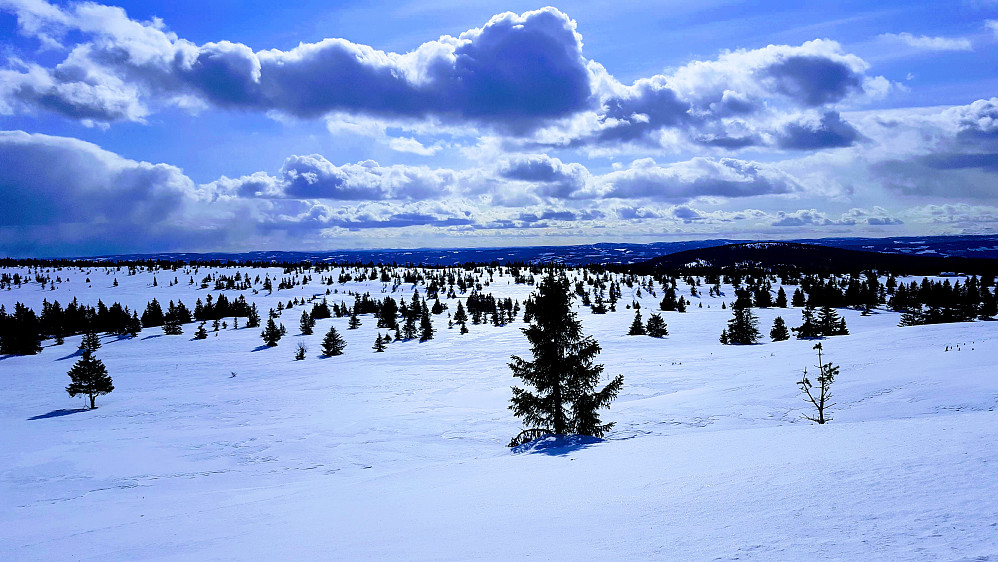I løypa ved Løvisåsen