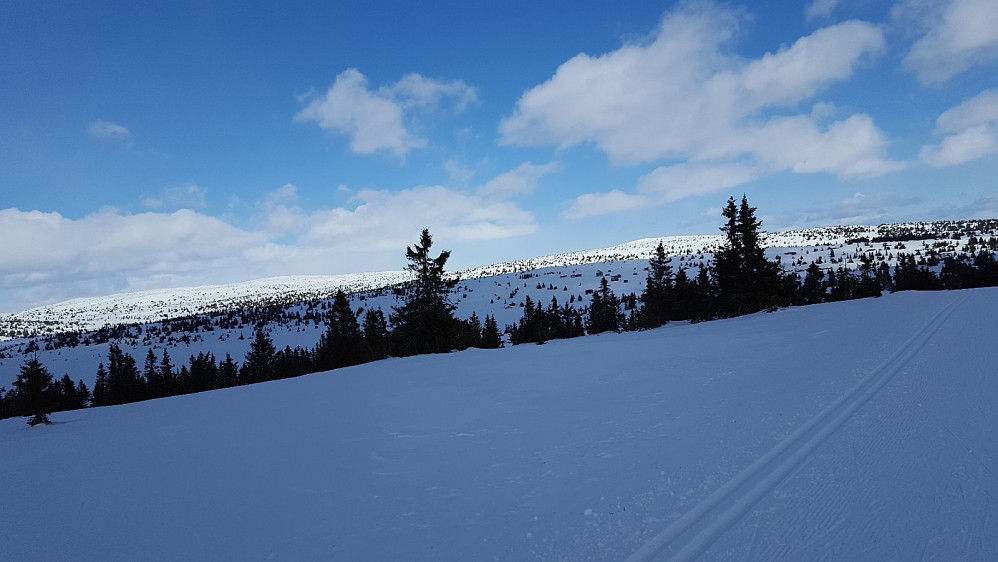 På Reinavegen, ser mot Hitfjellet, Kriksfjellet og Reina