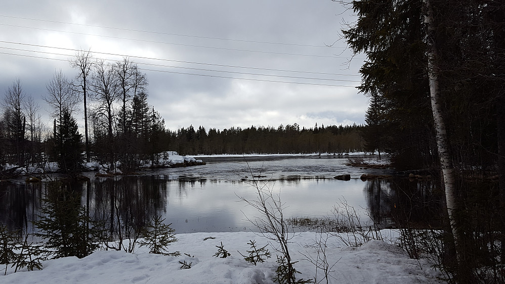Mesnaelva
