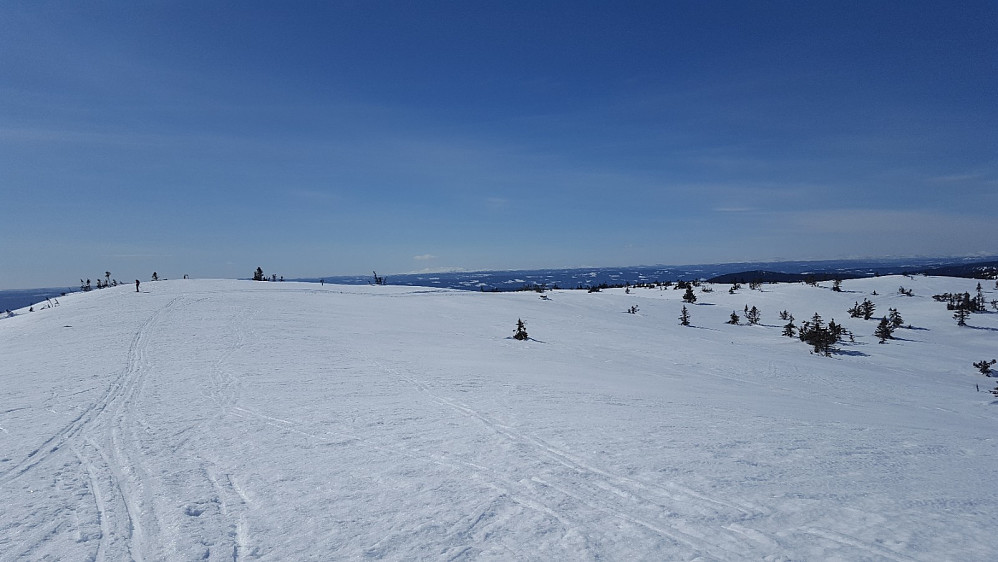 På Sjusjøfjellet øst