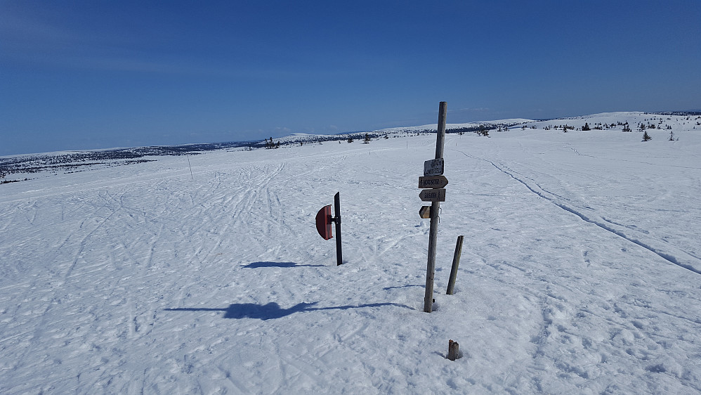 På Lunkefjell