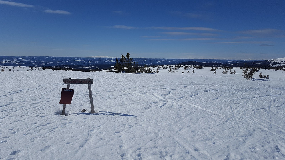 På Sjusjøfjellet
