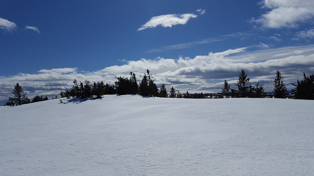 På Gjesbuåsen