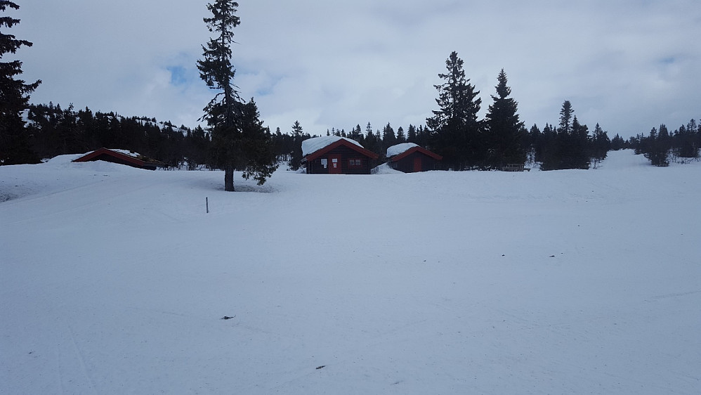 Ved Midtfjellkoia