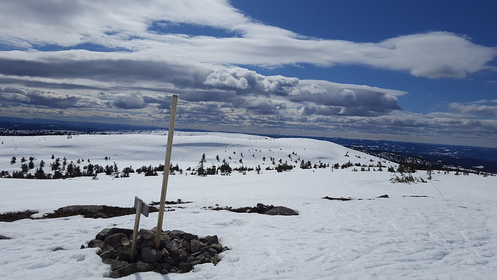 På Mostfjellet