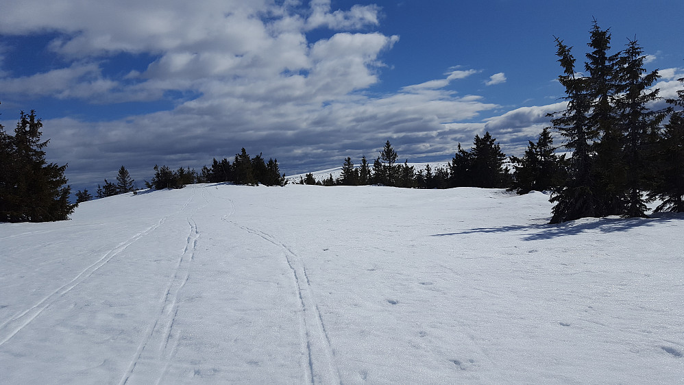 På Gjestbodåsen
