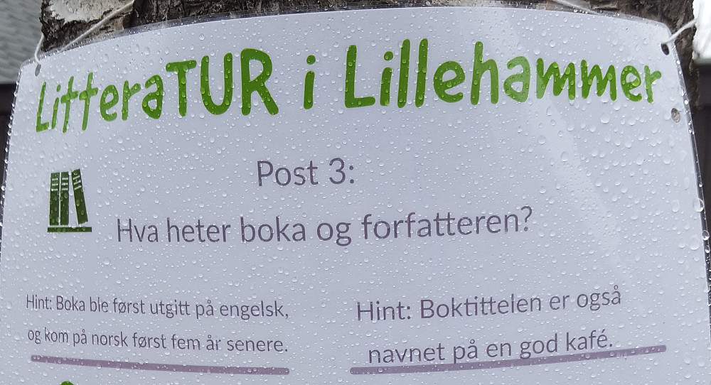 Oppgave LitteraTUR