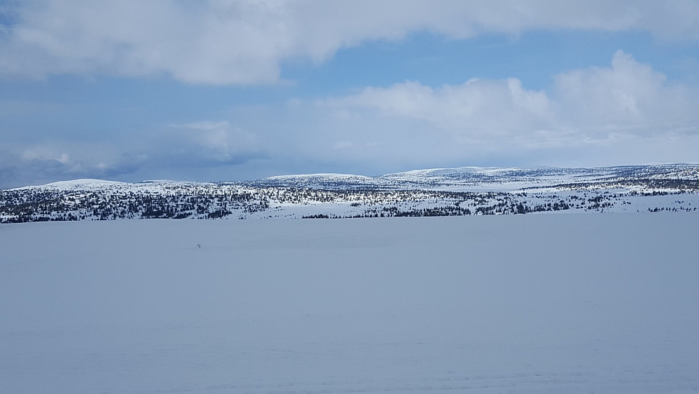 På Mostfjellet