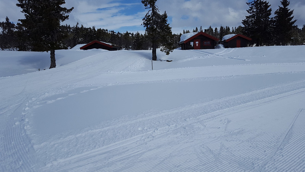 Ved Midtfjellkoia