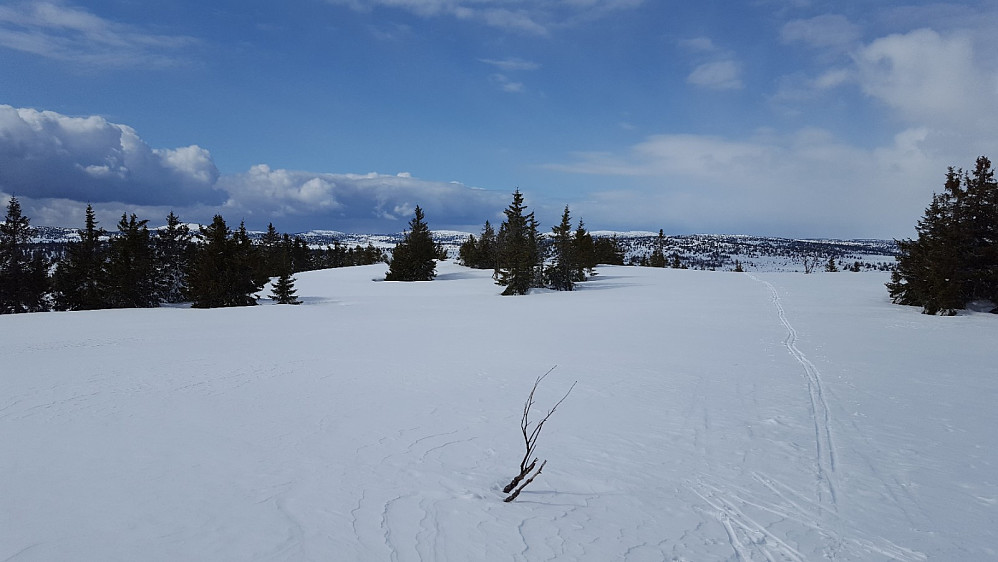 På Gjesbuåsen