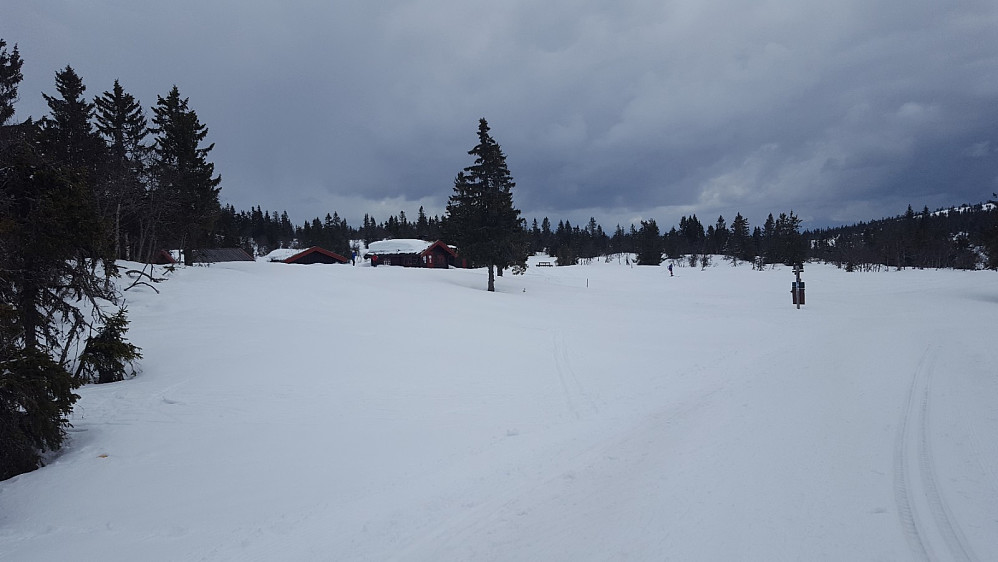 Ved Midtfjellkoia