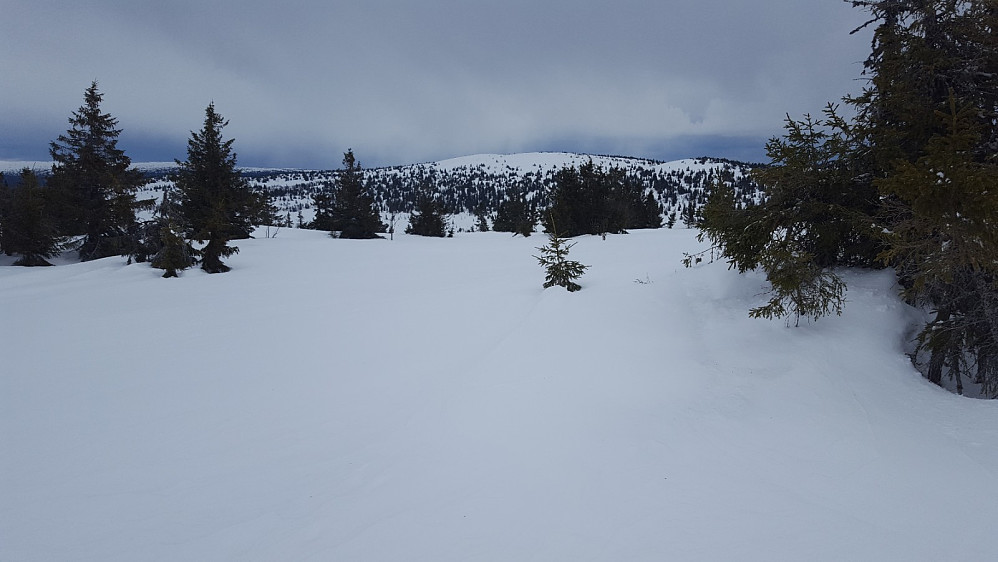 På Gjesbuåsen
