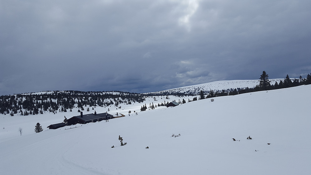 Ved setrene på Gjesbuåsen
