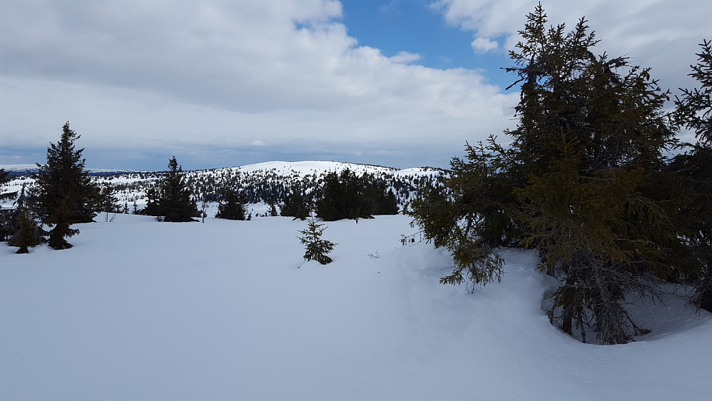 På Gjesbuåsen, mot Steinvikfjellet