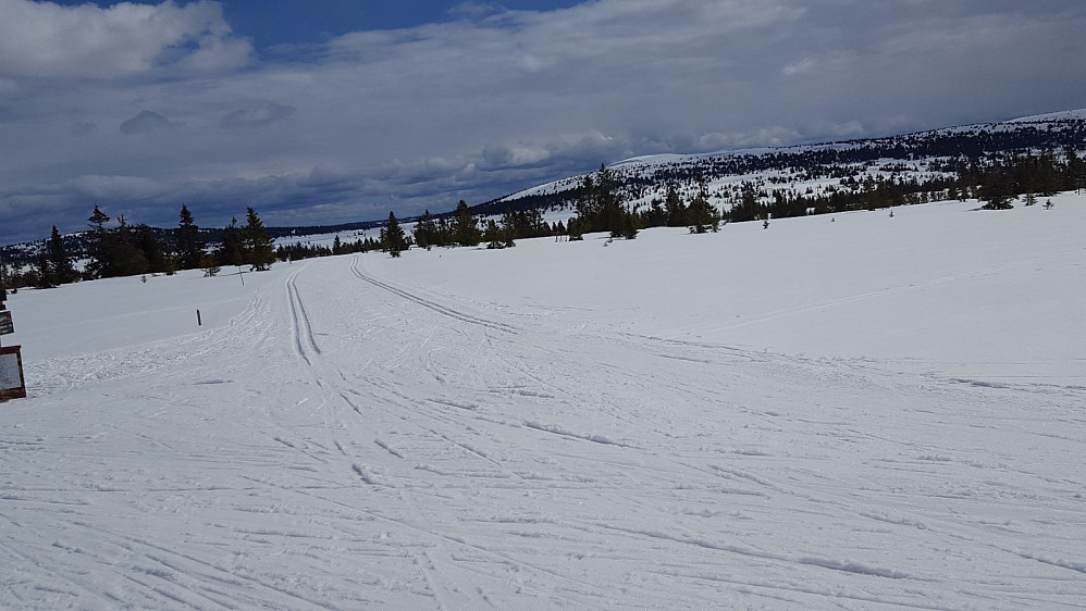 Ved løypekrysset på Storåsmyra
