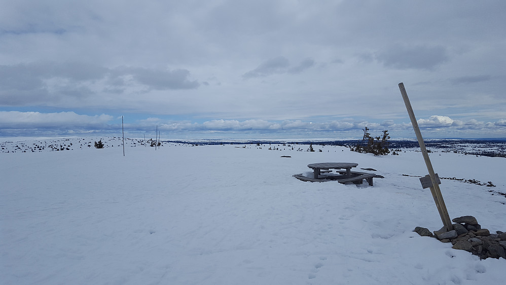 På Mostfjellet